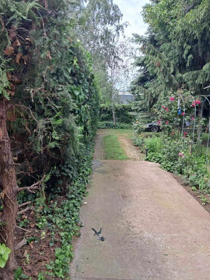 2 Rooms Retro Guesthouse In A Silent Garden Вечеш Екстериор снимка
