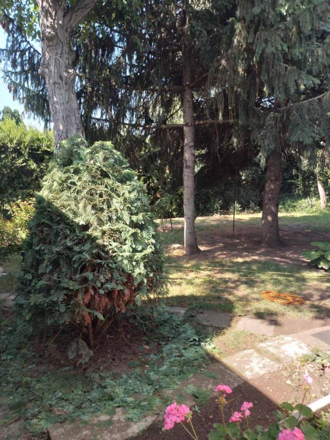 2 Rooms Retro Guesthouse In A Silent Garden Вечеш Екстериор снимка