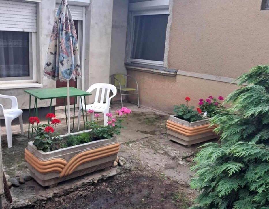 2 Rooms Retro Guesthouse In A Silent Garden Вечеш Екстериор снимка