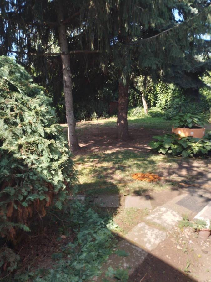 2 Rooms Retro Guesthouse In A Silent Garden Вечеш Екстериор снимка